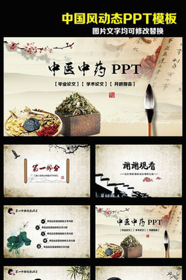 中國(guó)傳統(tǒng)文化中醫(yī)中藥傳播動(dòng)態(tài)PPT模板 文化傳播的載體與創(chuàng)新